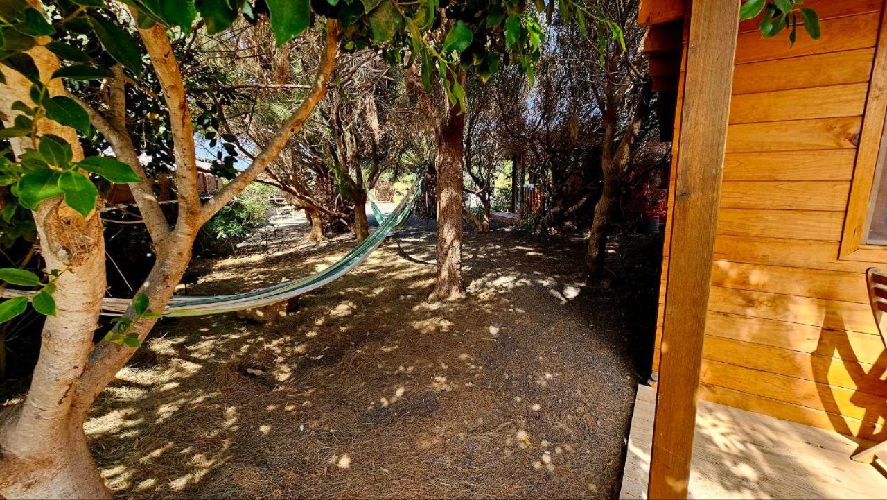 Cabanalanz, Cabanas En Lanzarote Сан-Бартоломе Екстер'єр фото