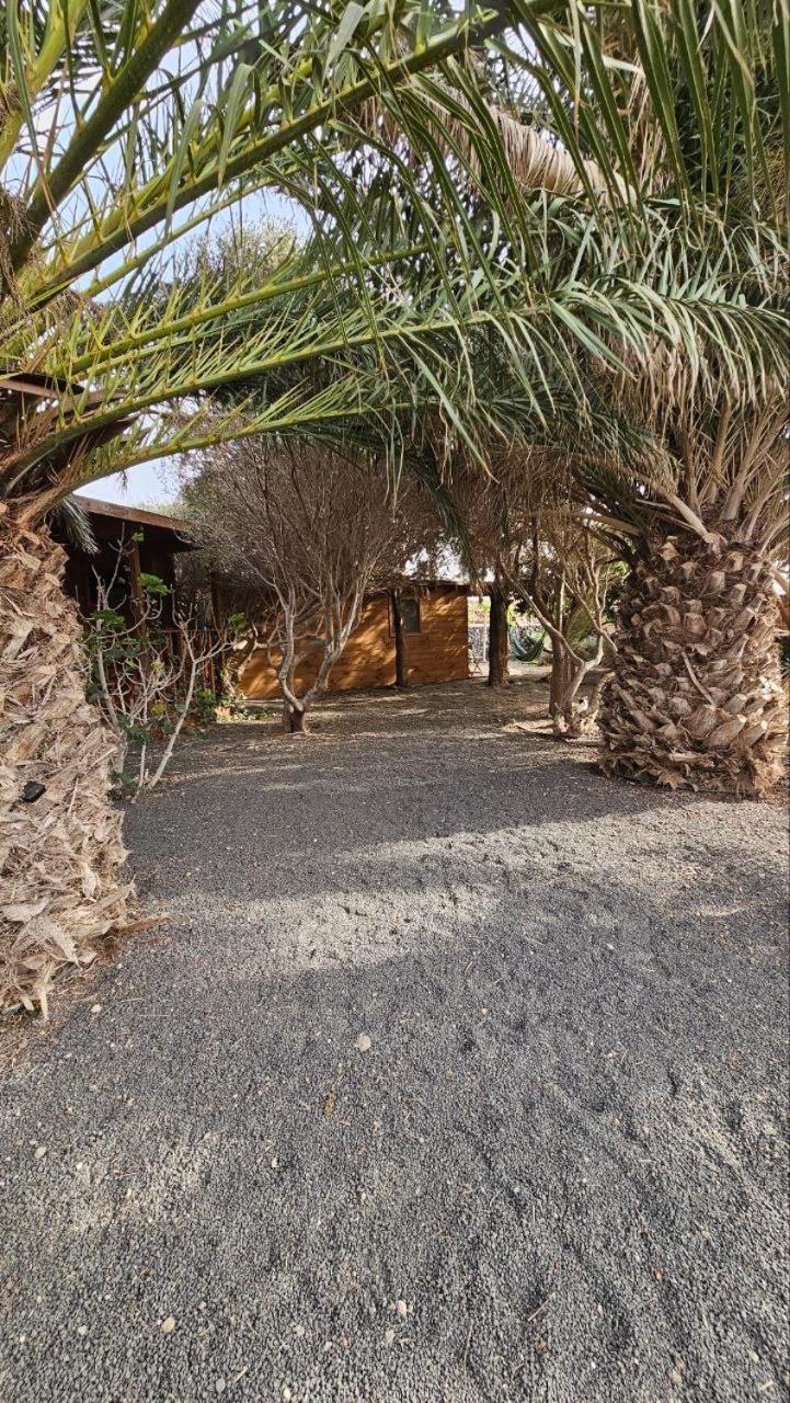 Cabanalanz, Cabanas En Lanzarote Сан-Бартоломе Екстер'єр фото