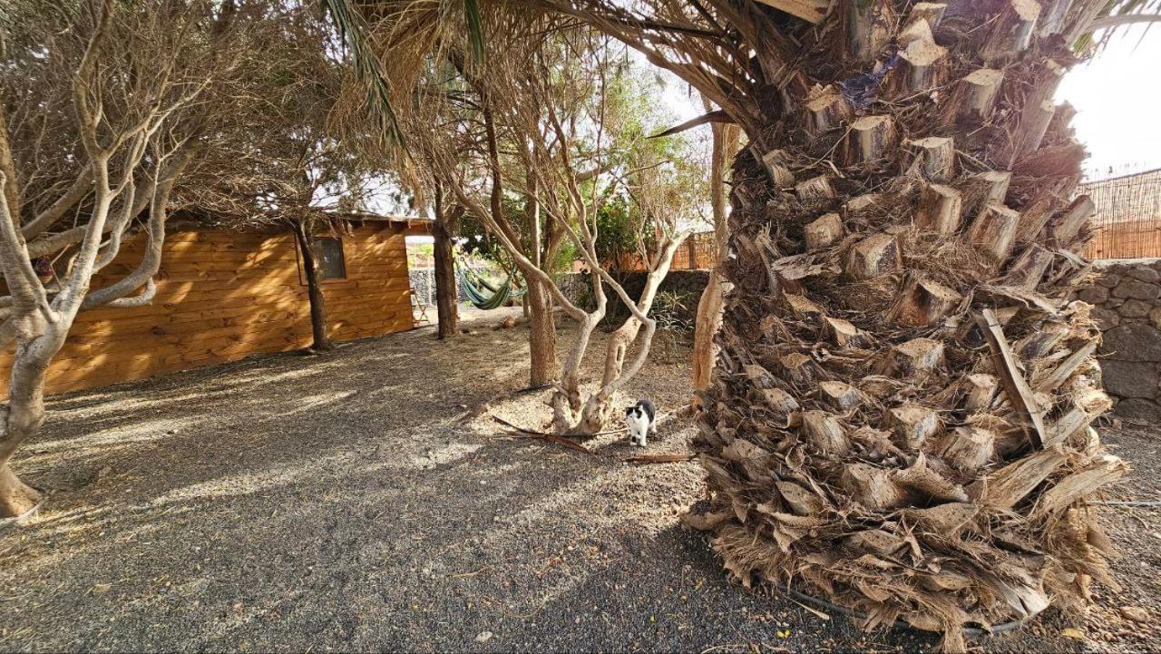 Cabanalanz, Cabanas En Lanzarote Сан-Бартоломе Екстер'єр фото